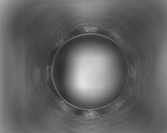 X0000057040321200509120827
