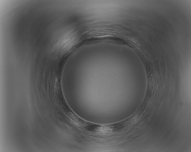 X0000057040327200509120827