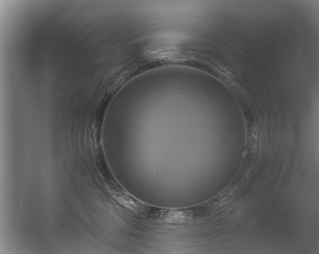 X0000057040330200509120827