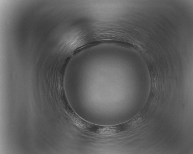 X0000057040331200509120826