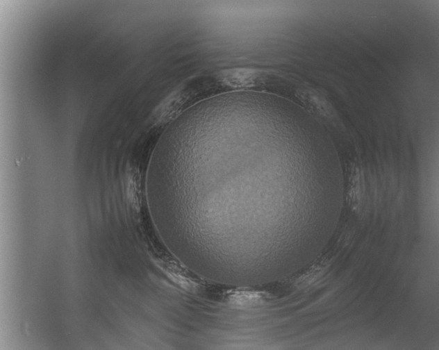 X0000057040332200509120826