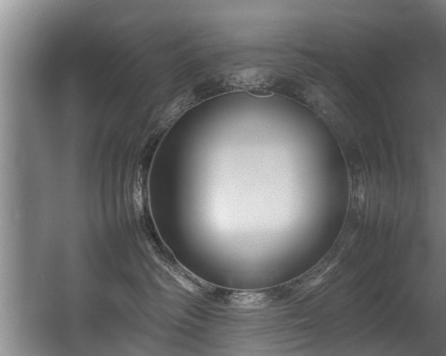 X0000057040334200509120826