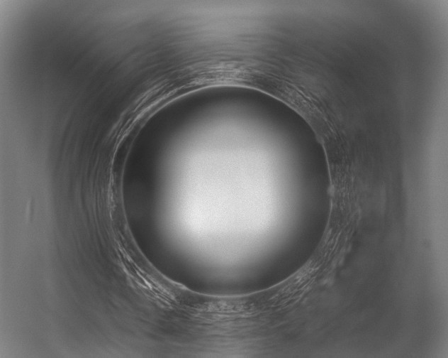 X0000057040338200509120826