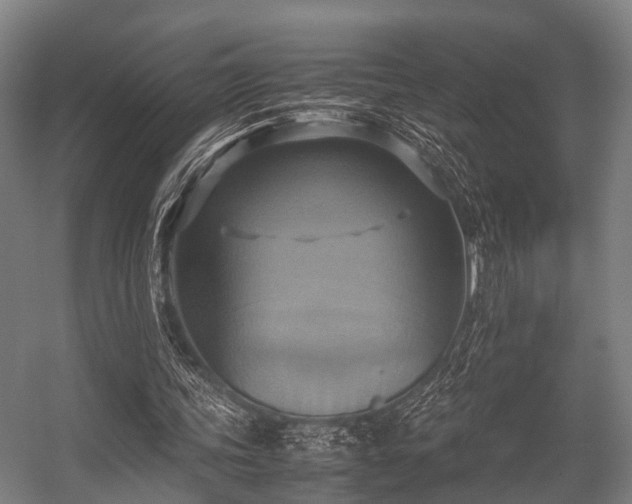 X0000057040339200509120826