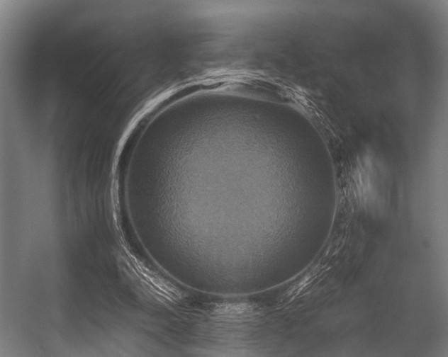 X0000057040342200509120826