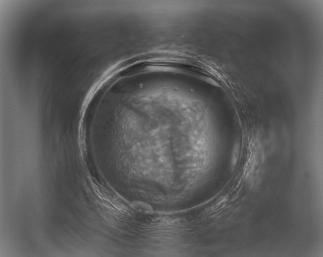 X0000057040343200509120826