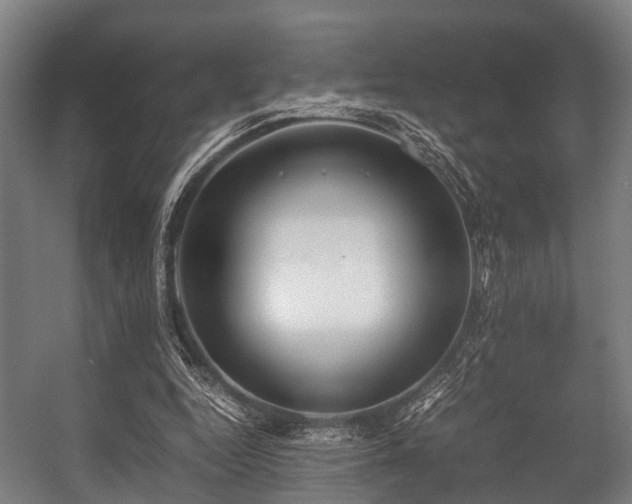 X0000057040344200509120826