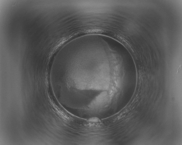 X0000057040345200509120826