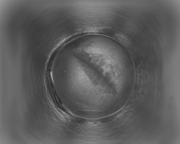X0000057040346200509120826