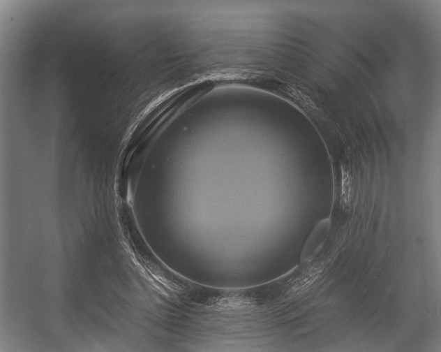 X0000057040348200509120826