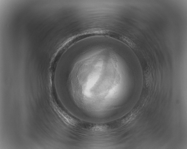 X0000057040350200509120826