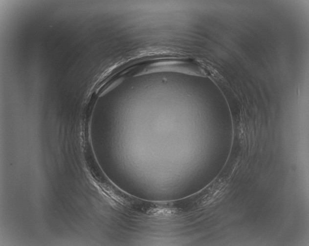 X0000057040352200509120826