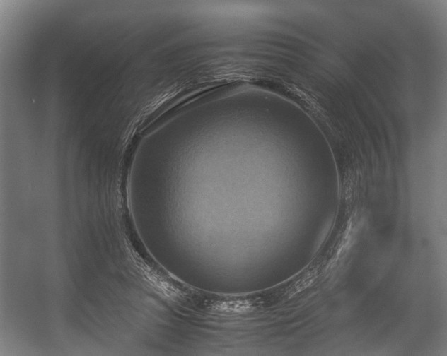 X0000057040353200509120826