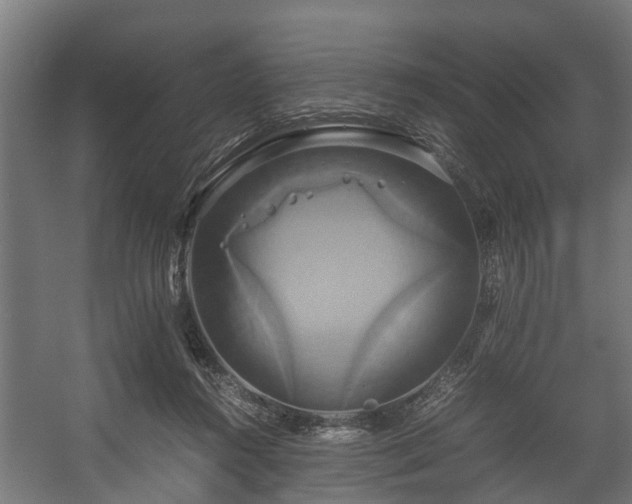 X0000057040360200509120826