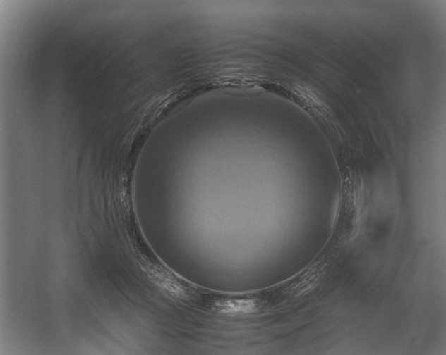 X0000057040361200509120826