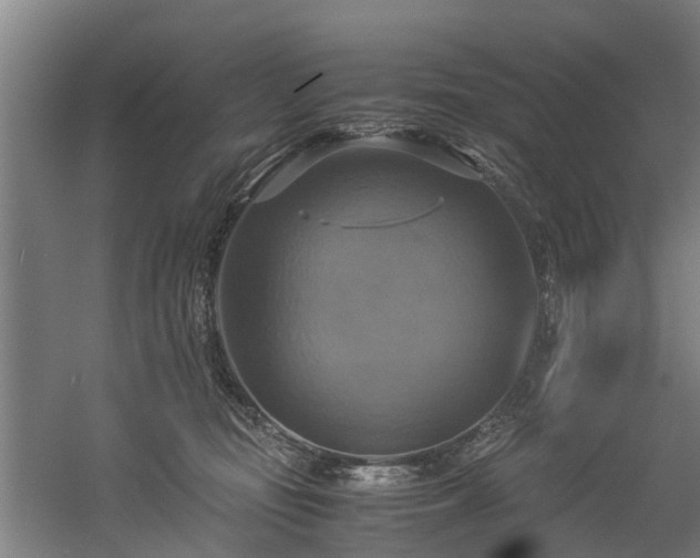 X0000057040371200509120826