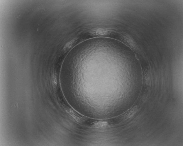 X0000057040374200509120826