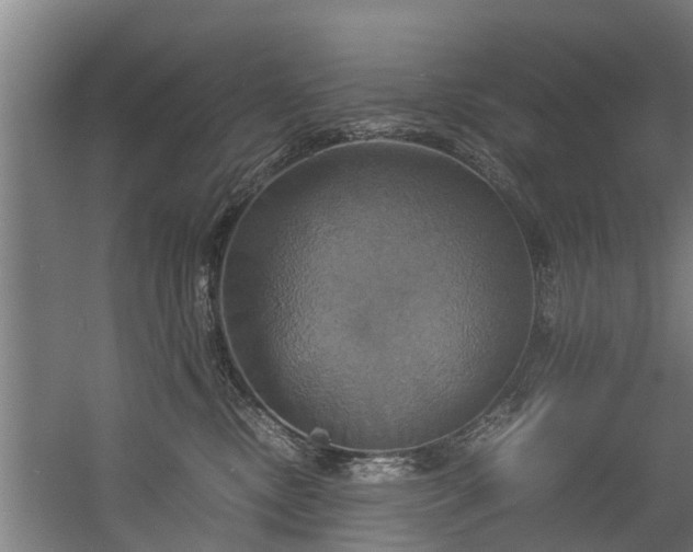 X0000057040378200509120826