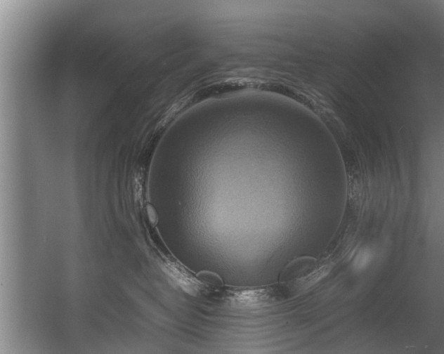 X0000057040382200509120826