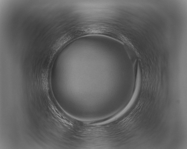 X0000057040386200509120826