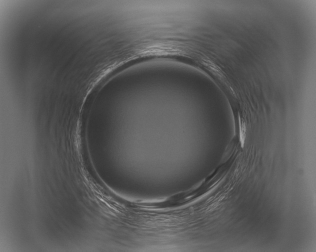 X0000057040387200509120826
