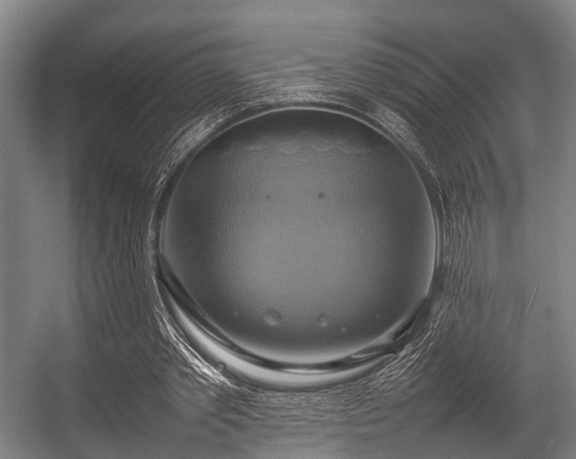 X0000057040389200509120826
