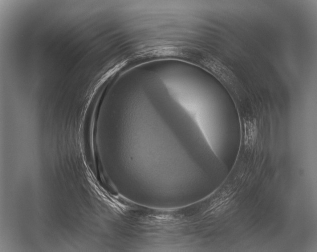 X0000057040390200509120825
