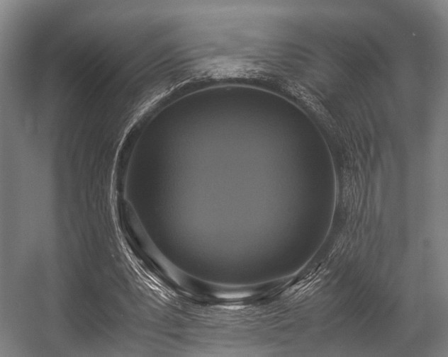 X0000057040391200509120825