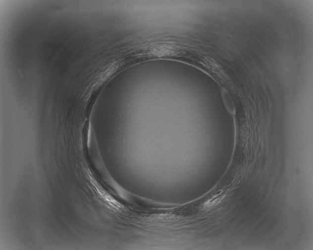 X0000057040393200509120825