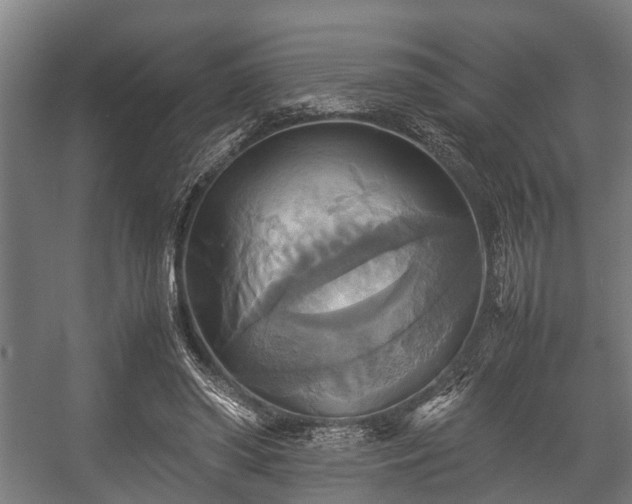 X0000057040398200509120825