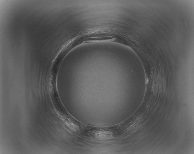 X0000057040400200509120825