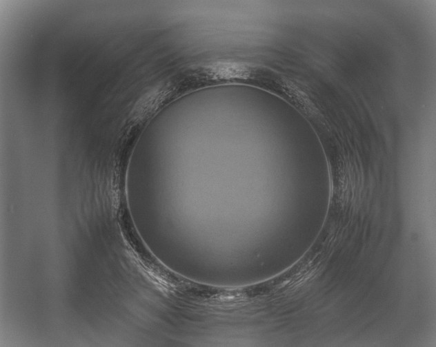X0000057040402200509120825