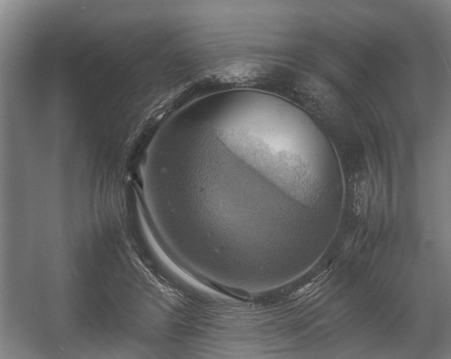 X0000057040404200509120825