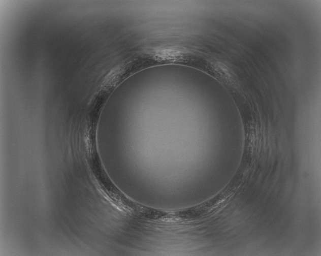 X0000057040408200509120825