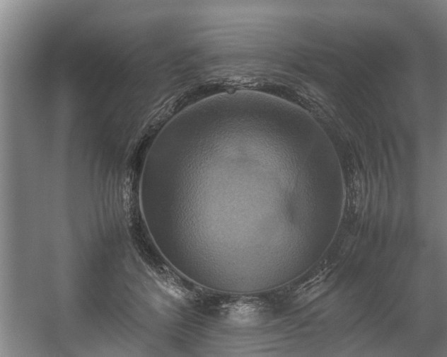 X0000057040412200509120825