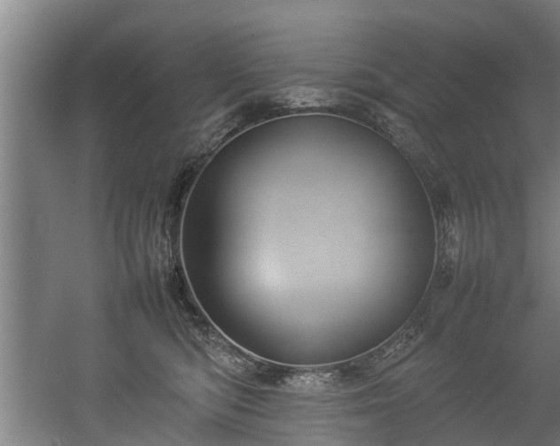 X0000057040422200509120825