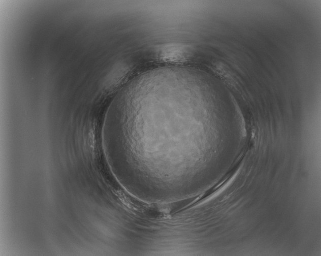 X0000057040424200509120825