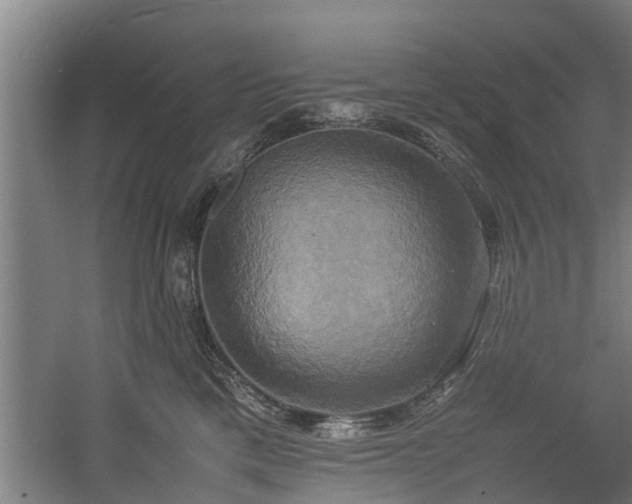 X0000057040425200509120825