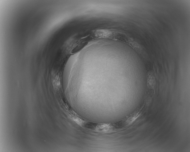 X0000057040431200509120825