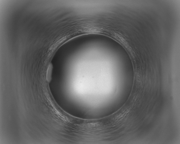 X0000057040433200509120824