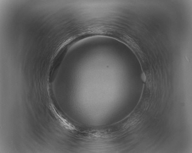 X0000057040434200509120824