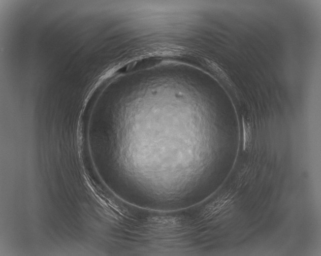 X0000057040435200509120824