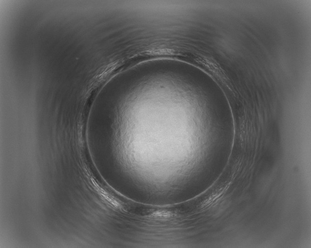 X0000057040441200509120824