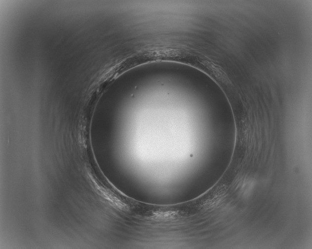 X0000057040450200509120824