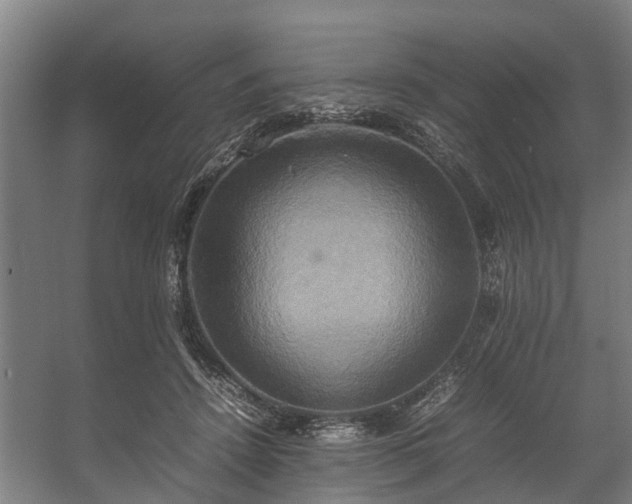 X0000057040456200509120824