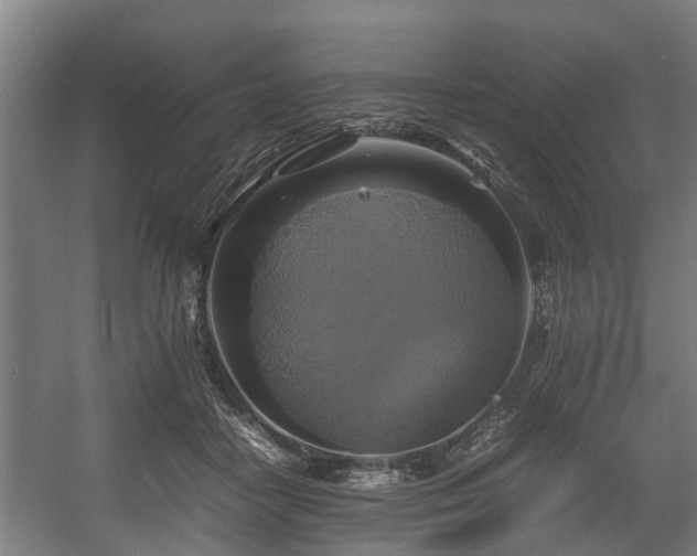 X0000057040458200509120824