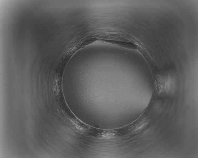 X0000057040462200509120824