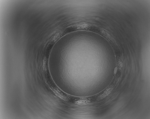 X0000057040468200509120825