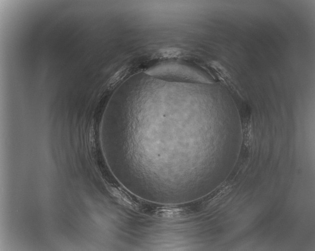 X0000057040472200509120825
