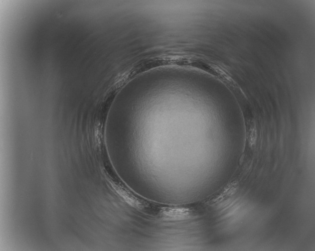 X0000057040476200509120825